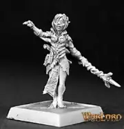 Reaper Warlord 14366 Dehanis Twinleaf, Elf Druid