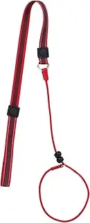Strengthened for Control Retractable Dog Leash Slip Lead Design Comfortable for Daily Walking