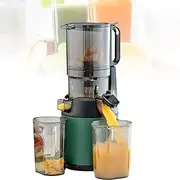 300w cold Press Slow Juicer, Juicer Machines, Cold Press Masticating Juicer, With Triple Filter, Portable Pomace Separation Juicer, for Fruits Vegetables,Green