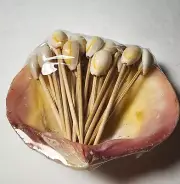 VINTAGE Clam Shell HORS D'OEUVRES CHEESE Food TOOTHPICKS w SEASHELL TIPS NEW