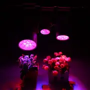 3W 7W 12W LED Plant Lights Grow Lamp Flood Supplementary Light 14342 12W