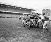 Wales 'Norman Gale Feeds The Ball To His Backs 1966 OLD RUGBY PHOTO