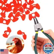 Boao 61 Pieces Pinless Peepers for Chicken Peepers Pheasant Poultry Blinders