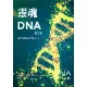 靈魂DNA（第二部）：連結你神聖藍圖的實用指引[88折] TAAZE讀冊生活