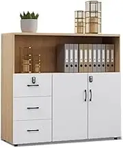 File Cabinet Office Organizers Filing Cabinets Partition Storage Cabinets Filing Cabinets Low Cabinets Printer Cabinets Locking Drawer Cabinets Office Drawer(Brown)
