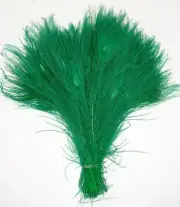 15 Pcs BLEACHED PEACOCK TAILS - KELLY GREEN Feathers 10-12" Crafts/Halloween