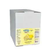Fruit-N-Ice - Lemon Blender Mix 6 Pack Case FREE SHIPPING