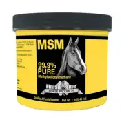 Msm Horse Supplement 1 Lbs By Finish Line Horse Products, Inc.