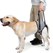 Dog Sling For Large Dogs Hind Leg Support To Help Rehabilitate The Hind Limbs Of Elderly Dogs With Weak Hind Legs Disabilities Arthritis Acl Recove...