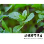 【LS】ND 胡椒薄荷精油 PEPPERMINT PREMIUM ESSENTIAL OIL (歐薄荷精油)