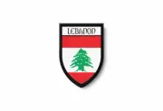 PATCH PATCHES EMBLEM IRON ON GLUE PRINT FLAG world crest lebanon