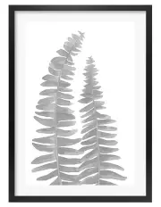 [Profile Australia] Australian Made Watercolour Fern Leaves Black Art Print A2 in Black Frame
