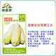 【綠藝家】G34.雪寶甜珍珠糯玉米種子20顆