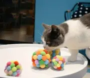Cat Colorful Toy Balls Chirping Balls Built In Bells Soft Chewing Toys...