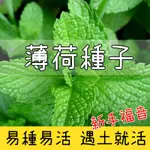 台灣現貨 薄荷種子 蔬菜種子 水果種子 種子大全 四季種子 四季播種 陽台種植 庭院種植 種植盆栽 農家樂 種子批發