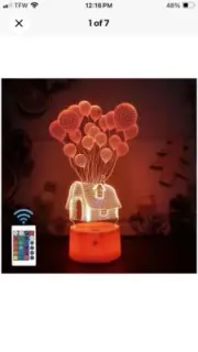 Balloon House 3D Illusion Night Light 16 Colours Change Smart Touch & Remote