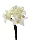 (01504) Artificial Flower Individual Orchid Phalaenopsis Orchid Cymbidium White