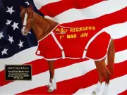 Sgt. Reckless - America's War Horse - Signed 12" x 16" Art Print - Fav of Author