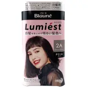 Kao Blaune Lumiest Creamy Foam Hair Color 2A Style Ash JAPAN