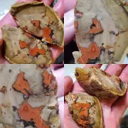 Pr TeePee Canyon Banded Agate South Dakota 118g Lapidary Cabbing Gemstone Rough