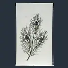 Peacock Feather Pattern Inlay Work Lawn Table for Home Marble Dining Table Top