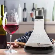 LEVARE Wine Decanter Set,Red Wine Carafe with Built-in-Aerator,Wine Aerator,W...