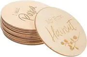 ibasenice Milestone Wooden Circles Cards 12pcs Baby Monthly Milestone Cards Baby Growth Signs Photo Props