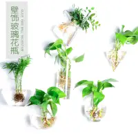 在飛比找松果購物優惠-玻璃壁掛花瓶 水培植物裝飾 牆上綠蘿花盆 (8.3折)