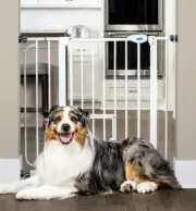 Carlson Extra Wide Walk Through Pet Gate with Small Door,