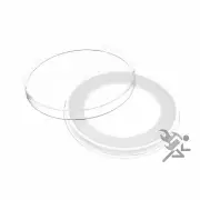 (2) AirTite Y-47mm White Ring Coin Holder Capsules