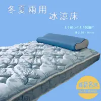 在飛比找蝦皮商城優惠-【嘉新名床】雙倍涼感床墊 (8-10公分)｜保固10年 台灣