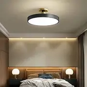 Minimalist Modern Flush Mount Ceiling Light, Circular Wrought Iron Decoration Lighting Fixtures,Three-Color Temperature Adjustable Ceiling, Indoor Simple Flat