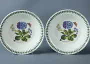 2 PORTMEIRION BOTANIC PRIMULA VILLOSA Rimmed Soup Plates Bowls England