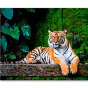 Beautiful Bengal Tiger with Lush Green Print 100% Australian Made 90 x 60cm (Stretched)