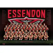 AFL 2017 Team Essendon Bombers POSTER 60x80cm NEW Aussie Football League Players