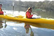 Oyster Tasting Kayak Tour - Batemans Bay
