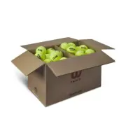 Wilson - WR8209201001 - TRINITI Club Tennis Balls - Case of 72 - USPTA LOGO