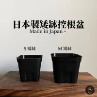 在飛比找蝦皮購物優惠-日本原裝進口🇯🇵方型控根盆 矮鉢黑膠盆 Made In Ja