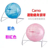 在飛比找蝦皮購物優惠-卡諾CARNO 運動健身滾球12cm 倉鼠滾球 跑球 運動跑