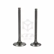 Intake and Exhaust Valves Kit For Yamaha TW200 TW225 XT225 5H0-12111-00-00