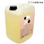 Inebrya energy shampoo 10 liters