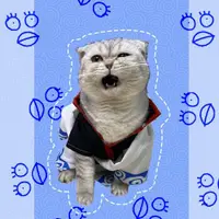 在飛比找ETMall東森購物網優惠-坂田銀時寵物衣服貓咪銀魂cos外套白夜叉小狗春夏季裝扮拍照道
