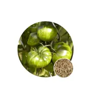 Tomato Green Zebra - Seed Packet - Organic Seeds - Spring - Summer