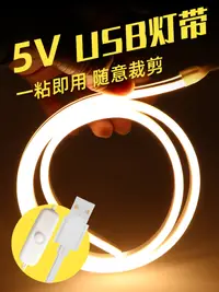 在飛比找松果購物優惠-usb充電款氛圍燈電池手辦自粘插電臥室床頭電視機背景led燈