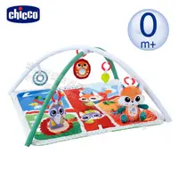 在飛比找蝦皮商城優惠-chicco-魔法森林動物遊戲健力架