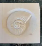 Snail Sea Shell Nautical Engraving Trim Wood Corner Trim Block, Door Trim Window