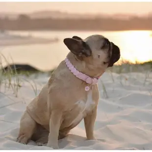 【美好毛日】澳洲Happy Go Puppy 編織項圈-暖嫩粉