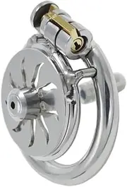 Inverted Chastity Cage Chastity Lock Stainless Steel for Men BDSM Penis Cage Male Metal Beginner Device Penis Ring Prevent Erection Couple Sex Toys
