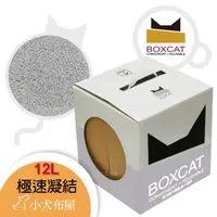 在飛比找蝦皮購物優惠-BOXCAT國際貓家盒砂【灰標】極速凝結小球貓砂 12L(1