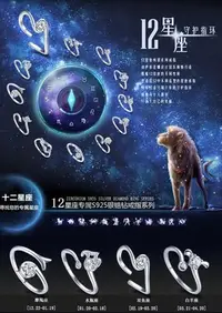 在飛比找Yahoo!奇摩拍賣優惠-十二星座戒指12星座戒指12星座萬用戒指  2d2345